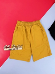 Q48 Quần đùi gió Topten