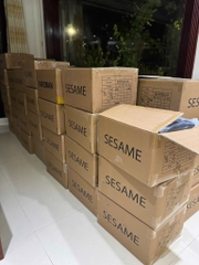 A129 Áo nỉ nữ Druh