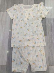 B22 Bộ cotton Hàn ngắn