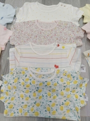 B22 Bộ cotton Hàn ngắn
