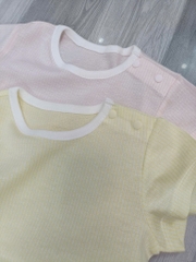 B22 Bộ cotton Hàn ngắn