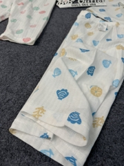 B40 Bộ cotton thông hơi lửng