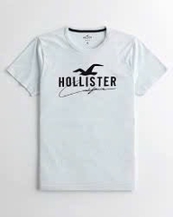 A48 Áo phông nam Holister