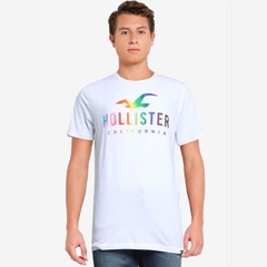 A48 Áo phông nam Holister