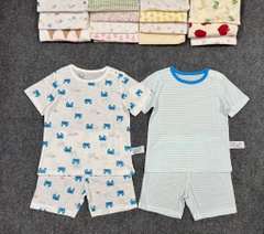 B36b Bộ cotton Hàn organic
