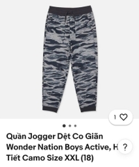 Q122 Quần jogger bé trai Wonder nation
