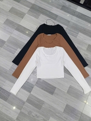 AE33 Áo thun tăm croptop