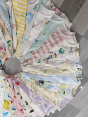 B36b Bộ cotton Hàn organic