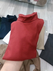 AE35 Áo cotton cổ lọ