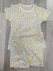 B22 Bộ cotton Hàn ngắn