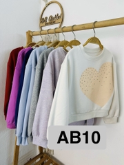 AB10 Áo nỉ bé gái C&J