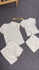 B22 Bộ cotton Hàn ngắn