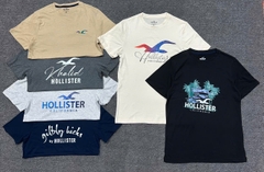 A48 Áo phông nam Holister