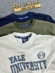 B24 Bộ cotton da cá YALE