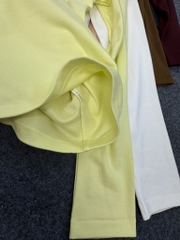 AE29 Áo thun cotton cổ tròn tay dài