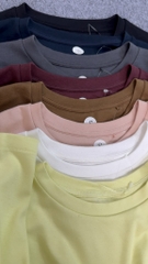 AE29 Áo thun cotton cổ tròn tay dài