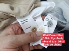 AA10 Áo po lo RT