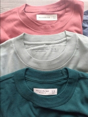 A108a Áo cotton tay dài Aber