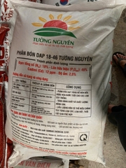 DAP Korea