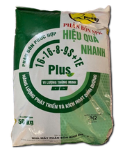 Bình Điền 2 Phong 16-16-8