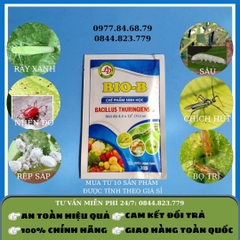 Bio-B Chế Phẩm Sinh Học