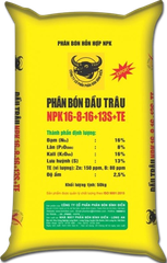 Đầu Trâu 16-8-16