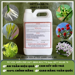 Humate Rong Biển Quế Lâm SH05 Can 5 lít