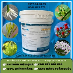 Amino Rong Biển Can 20 lít