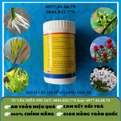 Kinafon 2.5PA (Kích thích mủ cao su)