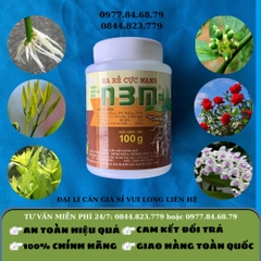 NEM 100gr Kích Rễ