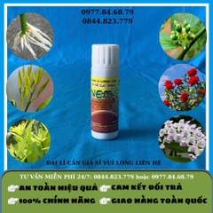 Ra Rễ NEM 25ml