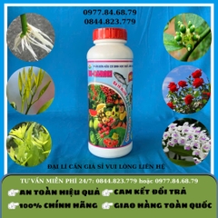 Đạm Cá DC - Caron Quế Lâm SH 05 1 lít