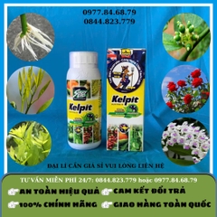 Kelpit Chai 0.5l