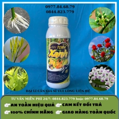 Toba Xanh 1 lít