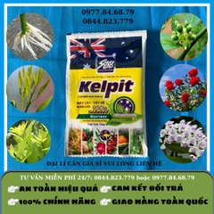 Kelpit