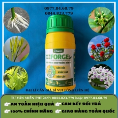 Forge chai 250ml (kích thích sinh trưởng hữu cơ)
