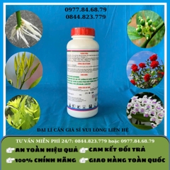 Đạm Cá DC - Caron Quế Lâm SH 05 1 lít