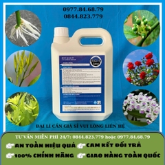 Đạm Cá Amino 5 lít