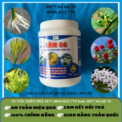 Lân 86 hủ 500g