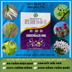 10-60-10 SION (hộp 2 gói)