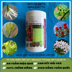 Melspray PK 0.31.32 500gr