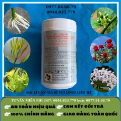 Melspray PK 0.31.32 500gr