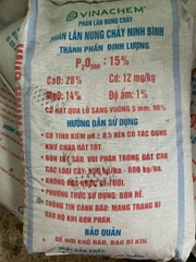 Lân Ninh Bình Kg
