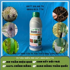 Anvill Japan