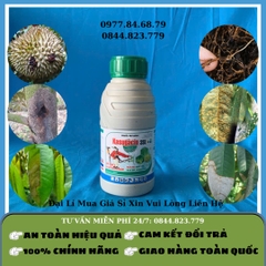 Kasugacin 3SL 450ml