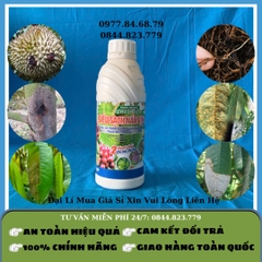 Siêu Sạch Nấm Bệnh Fressy 1 lít