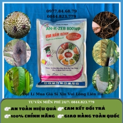 Vua Nấm Bệnh 500gr