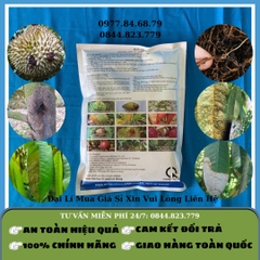 Vua Nấm Bệnh 500gr