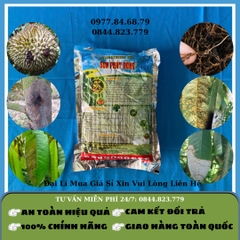 Sunphat Đồng 1kg