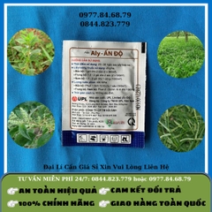 Cỏ Gói Ally